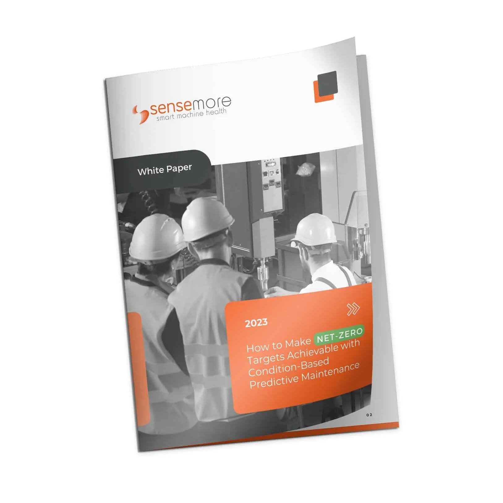 Whitepaper - how to make netzero targets achievable
